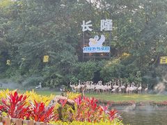 -广州长隆飞鸟乐园