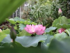 -白鹭湾湿地公园