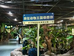 -海合安武汉极地海洋公园