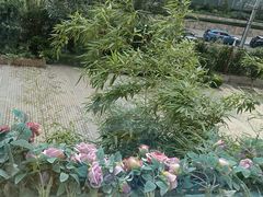 -首开寸草亚运村养老院