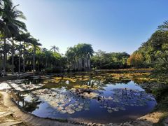 -中国科学院西双版纳热带植物园