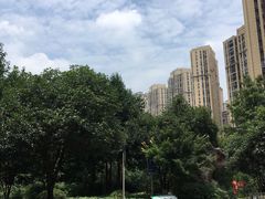 -龙头寺公园