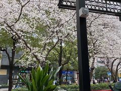 -玛格萝妮比萨屋(四平店)