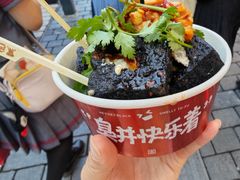 -黑色经典臭豆腐·湖南特产(坡子街店)