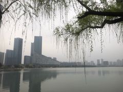 -天鹅湖体育公园