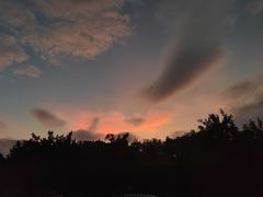 -番禺大夫山森林公园