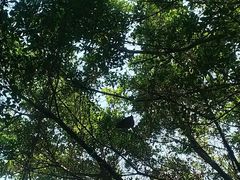 景点-大湾区中央湿地公园
