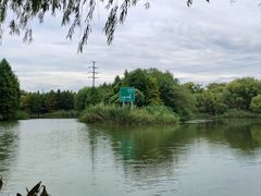 -长广溪湿地公园