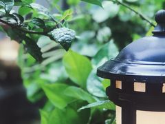 -外婆船宴餐厅·外婆喊你回家吃饭