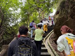 -羚羊峡古栈道森林公园