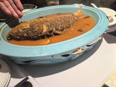 -阿五黄河大鲤鱼(纬三路店)