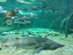 -华夏文旅海洋公园