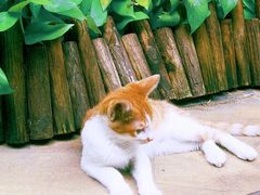 iphone_upload_pic-看书吧(体育东横路店)