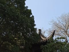 -盆景园(扬州大运河文化旅游度假区)