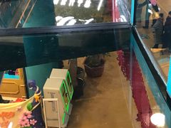 -幸福花欢乐世界(东辰广场A座店)