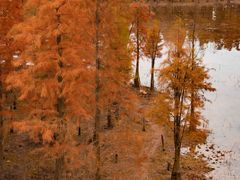 -白鹭湾湿地公园