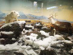-山东省科技馆(新馆)