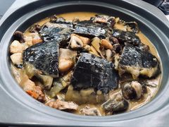 洞庭甲鱼-渔芙南(三里屯店)