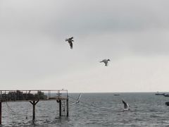 -兴城海滨风景区