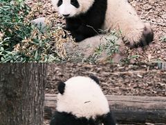 -无锡动物园·太湖欢乐园