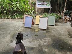-大象粑粑造纸公园