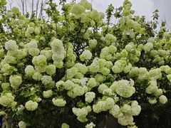 -大龙山(地铁站)