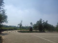 -绿堤公园