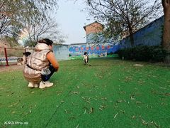 -宠物寄养训练学校