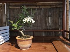-璞素(浦东店)