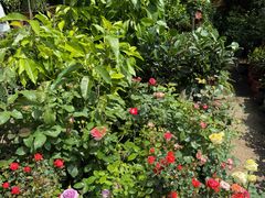 -金陵花卉交易市场