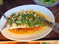 葱油大白鲈-大牌大·传统杭帮菜(湖滨店)