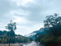 -崂山九水游览区