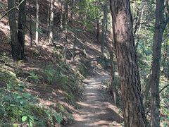 -南山植物园