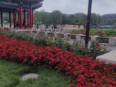 -西海子公园