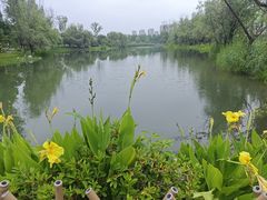 -洋湖国家湿地公园