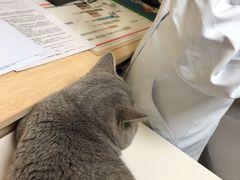 -谐和贝康宠物医院24小时·宠保定点(急重症转诊中心)
