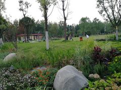 -府河摄影公园