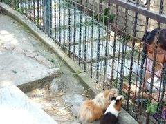 -上海滴水湖皇冠假日酒店