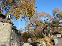 -北山公园