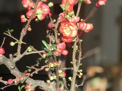 -听雨小筑茶舍(观音桥·龙湖新壹街店)