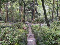 -西湖风景区十里琅珰-五云山