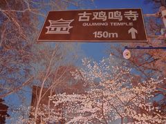 -鸡鸣寺