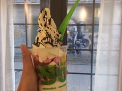 -Salud撒露欧洲冻酸奶(798艺术区店)
