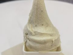 -野人先生现做冰淇淋(北京环宇荟店)