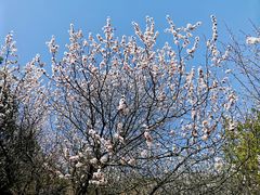 -鬼笑石后山停车场