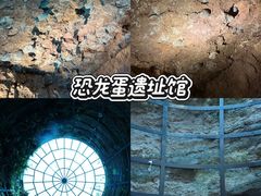 -中国西峡恐龙遗迹园