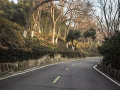 -上海市保健医疗中心