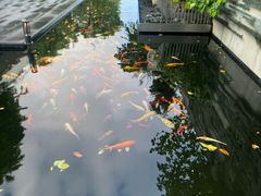 -广州白天鹅宾馆