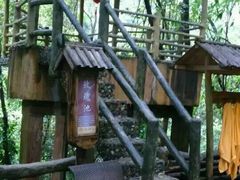 -天门沟九州驿站树上汤泉