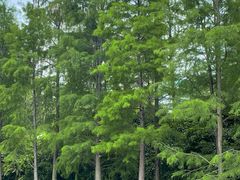 -荔枝公园(福田区)